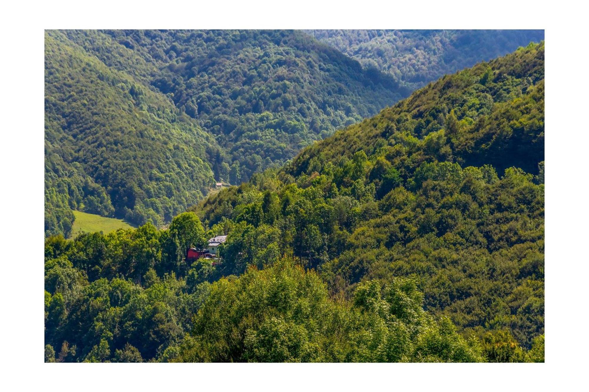 Chalet Bragard ลีโมเน เปียมอนเต ภายนอก รูปภาพ